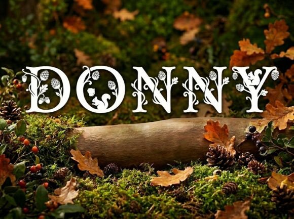 Donny Font: A Bold Statement in Design