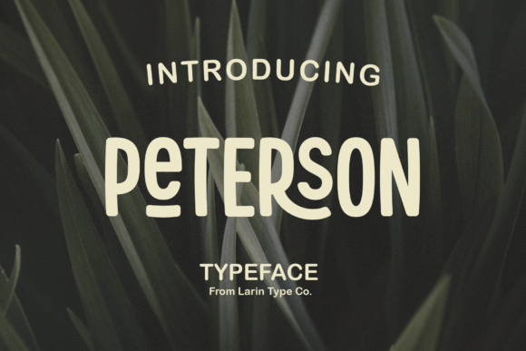 Peterson: A Display Sans That Does More