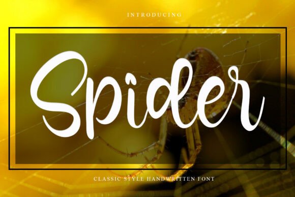 Spider: Elegant, Handcrafted Typography for Real Projects